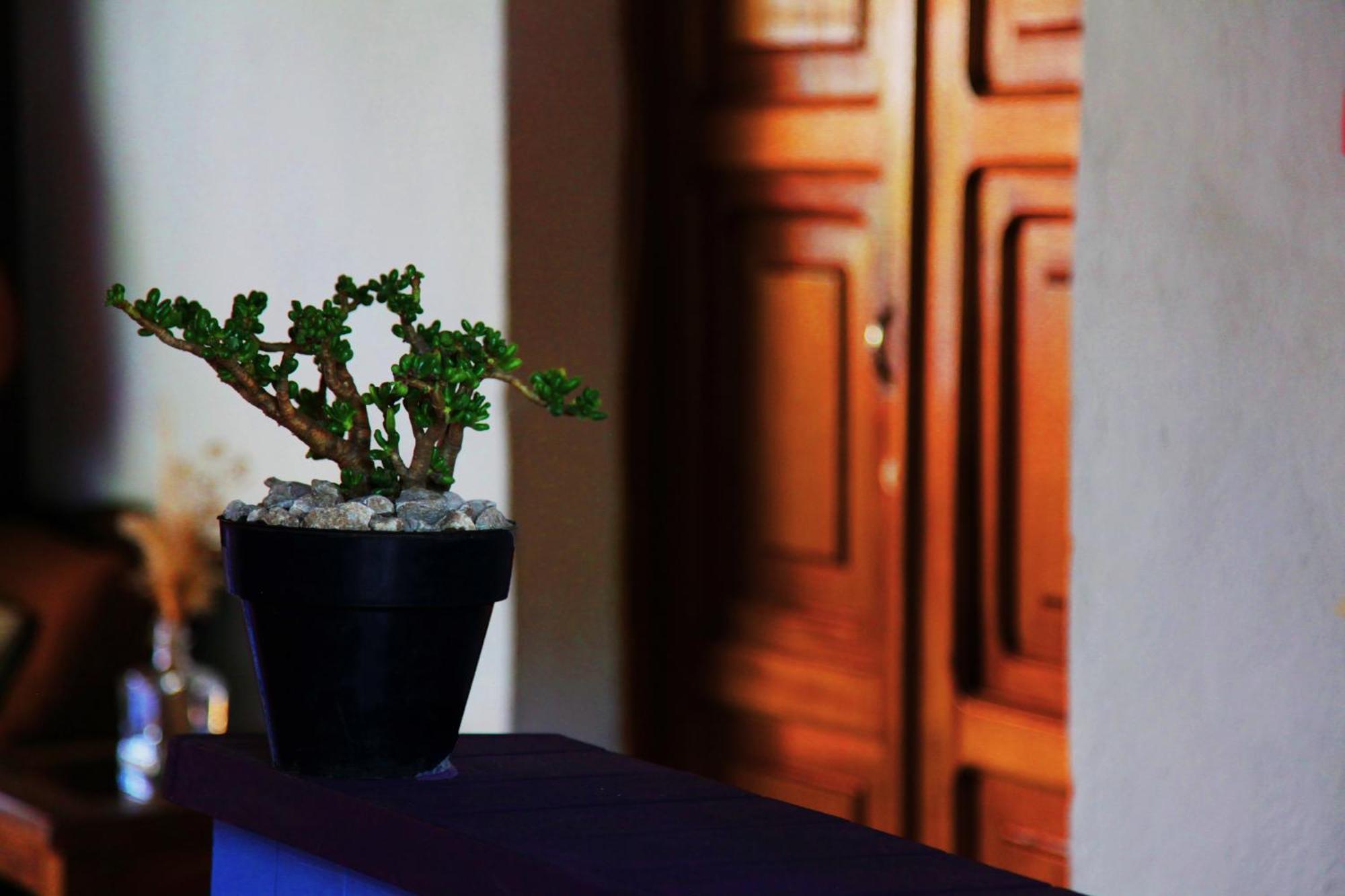 Hostal Antigueeno Антигуа-Гватемала Экстерьер фото