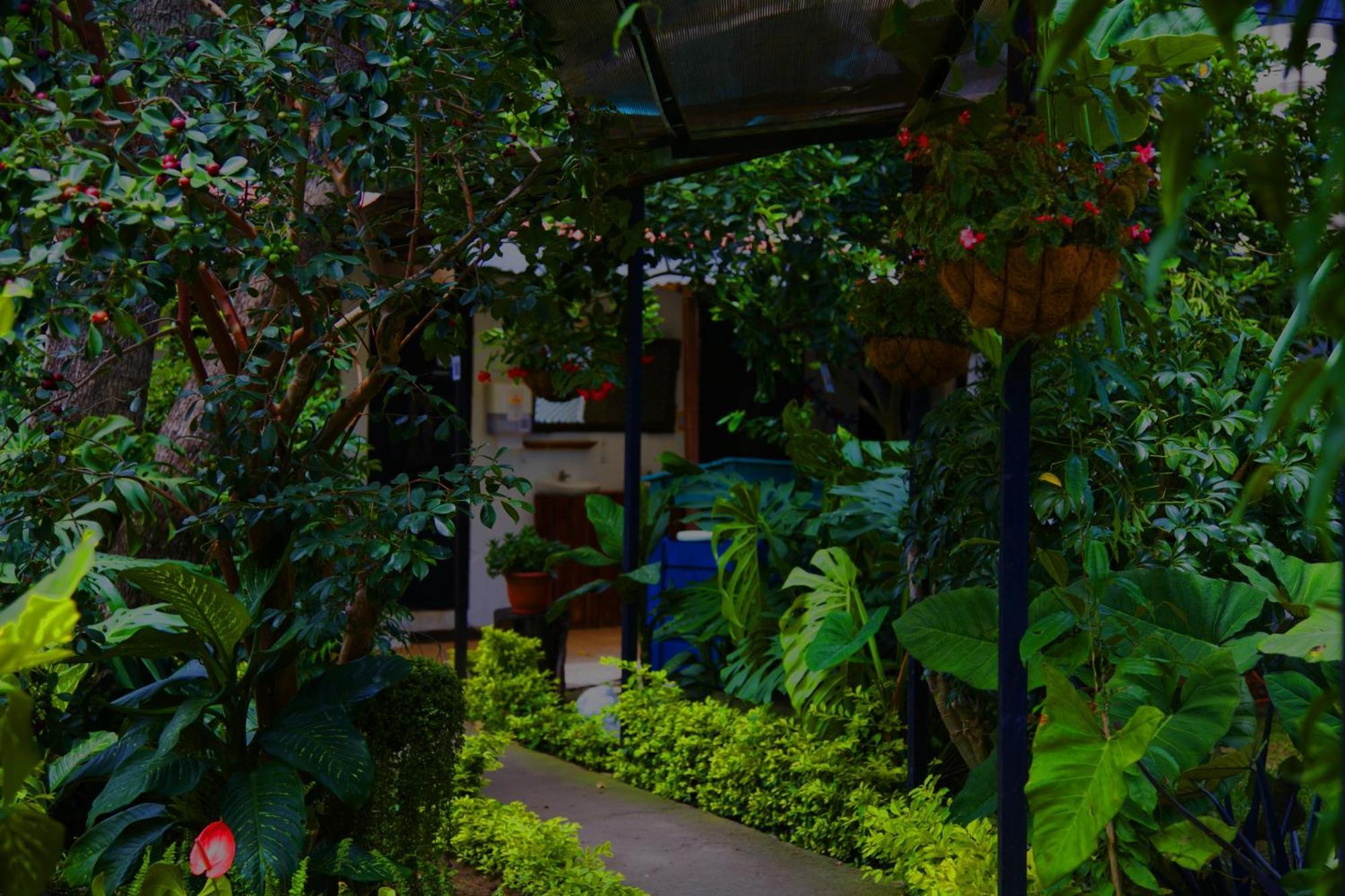 Hostal Antigueeno Антигуа-Гватемала Экстерьер фото